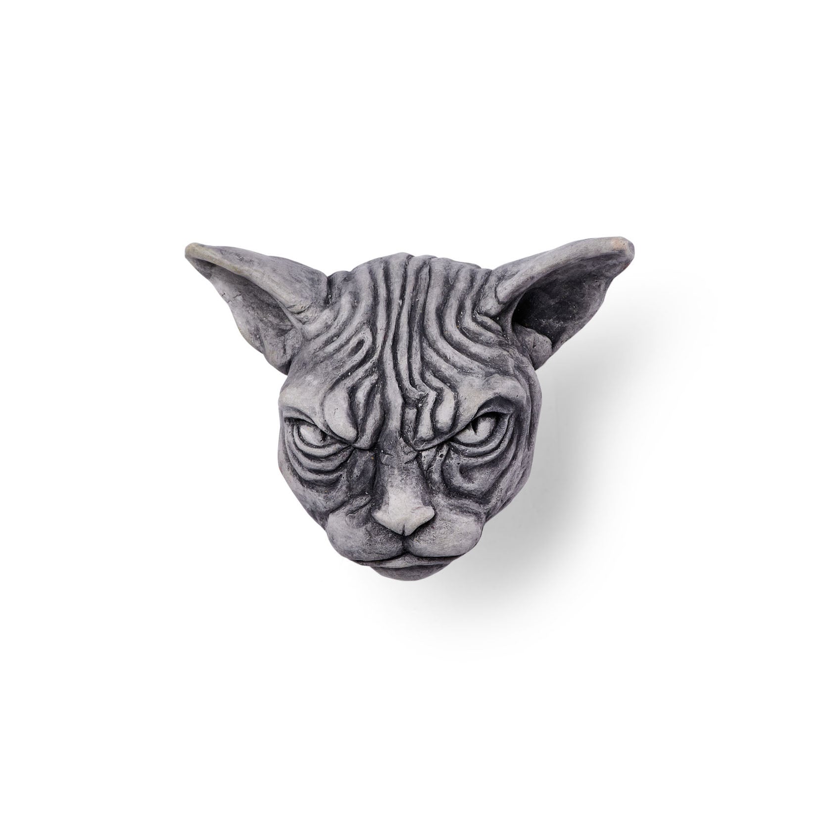 Sphynx store cat gray